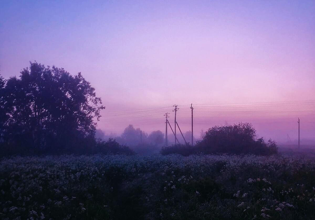 说真的,每日大赛被限流?:最值得收藏的那条评论,别急,关键在后面