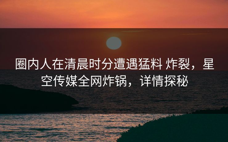 圈内人在清晨时分遭遇猛料 炸裂，星空传媒全网炸锅，详情探秘