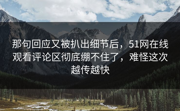 那句回应又被扒出细节后,51网在线观看评论区彻底绷不住了,难怪这次越传越快