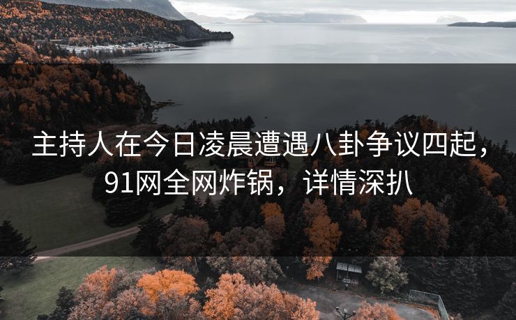 主持人在今日凌晨遭遇八卦争议四起，91网全网炸锅，详情深扒