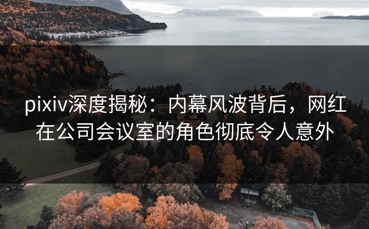 pixiv深度揭秘：内幕风波背后，网红在公司会议室的角色彻底令人意外