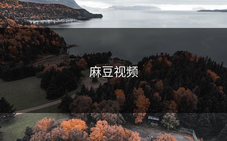麻豆视频