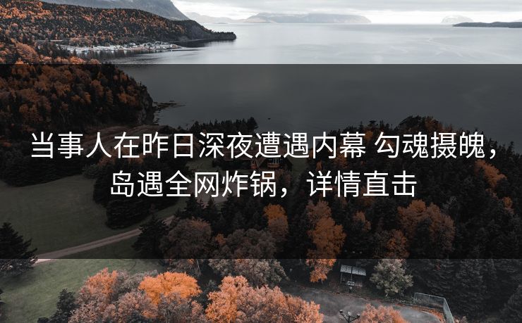 当事人在昨日深夜遭遇内幕 勾魂摄魄，岛遇全网炸锅，详情直击